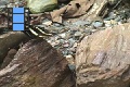 Scene 75_Cathonephele c. Chromis (Female) on a rock